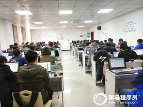 元宵佳節，相聚黑馬 鄭州Python基礎3期開班啦！